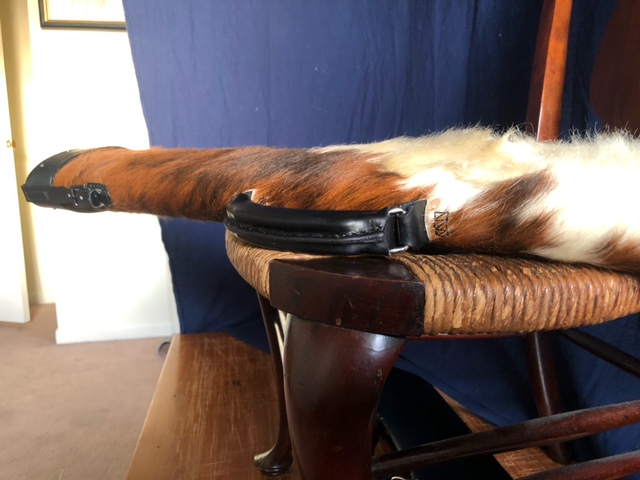 image13.jpeg