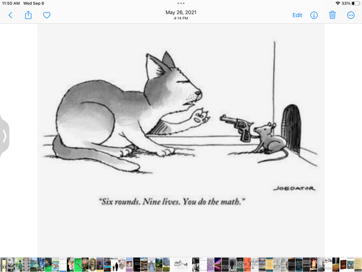 IMG_0327.png