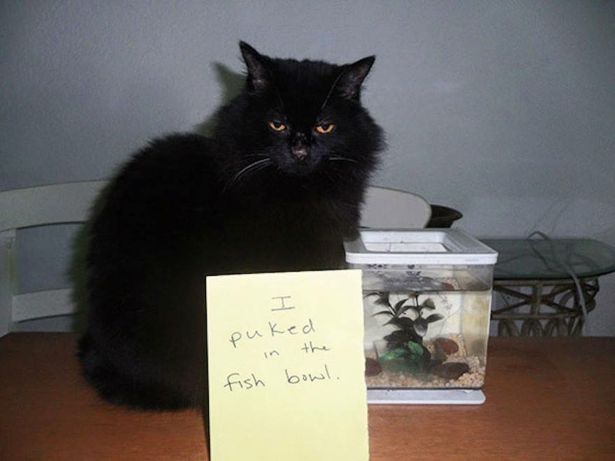 IMG_1025.JPEG
