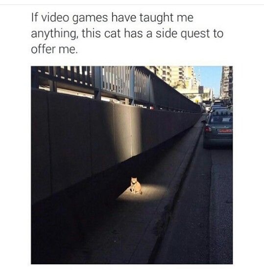 IMG_1028.JPEG