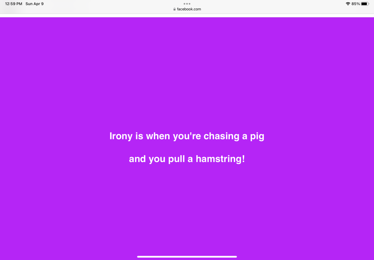 IMG_1916.png