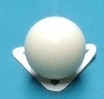 IMG_20230124_084309783.jpg
