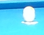 IMG_20230126_080052197.jpg