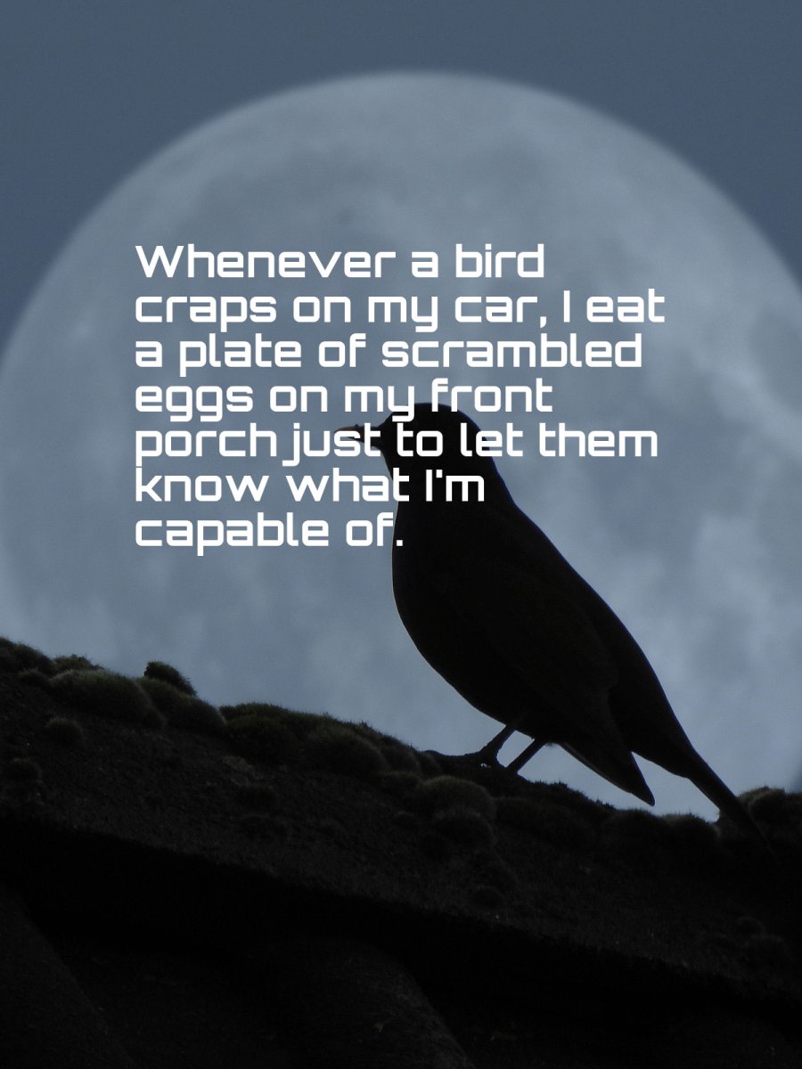 IMG_2371.JPEG