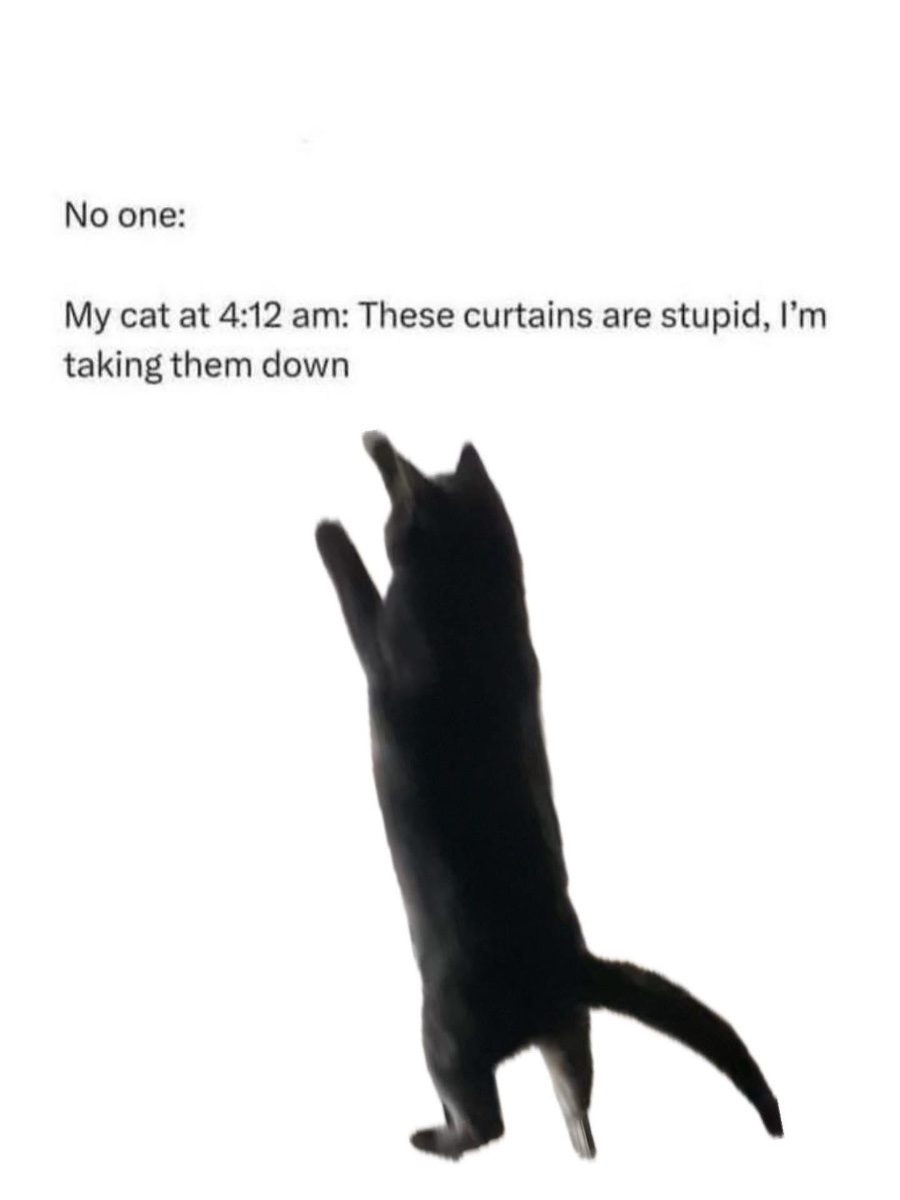 IMG_3123.jpeg