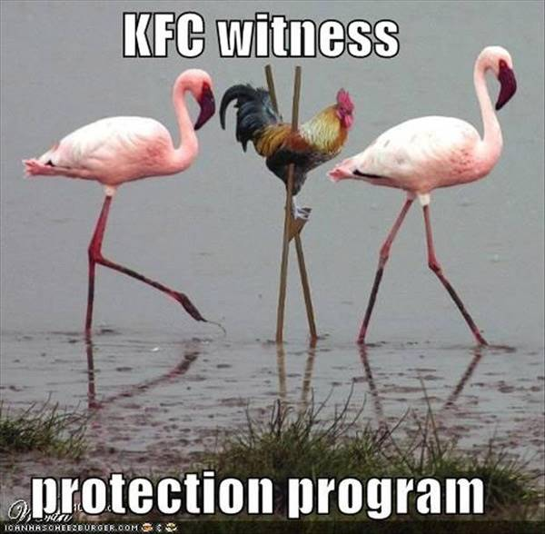 IMG_3512.png