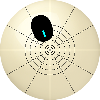 IMG_3804.png