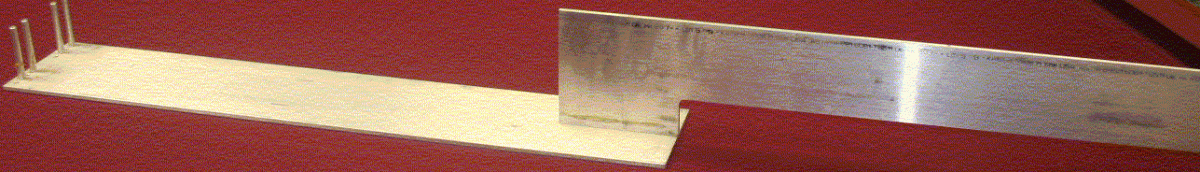 IMG_5954.gif
