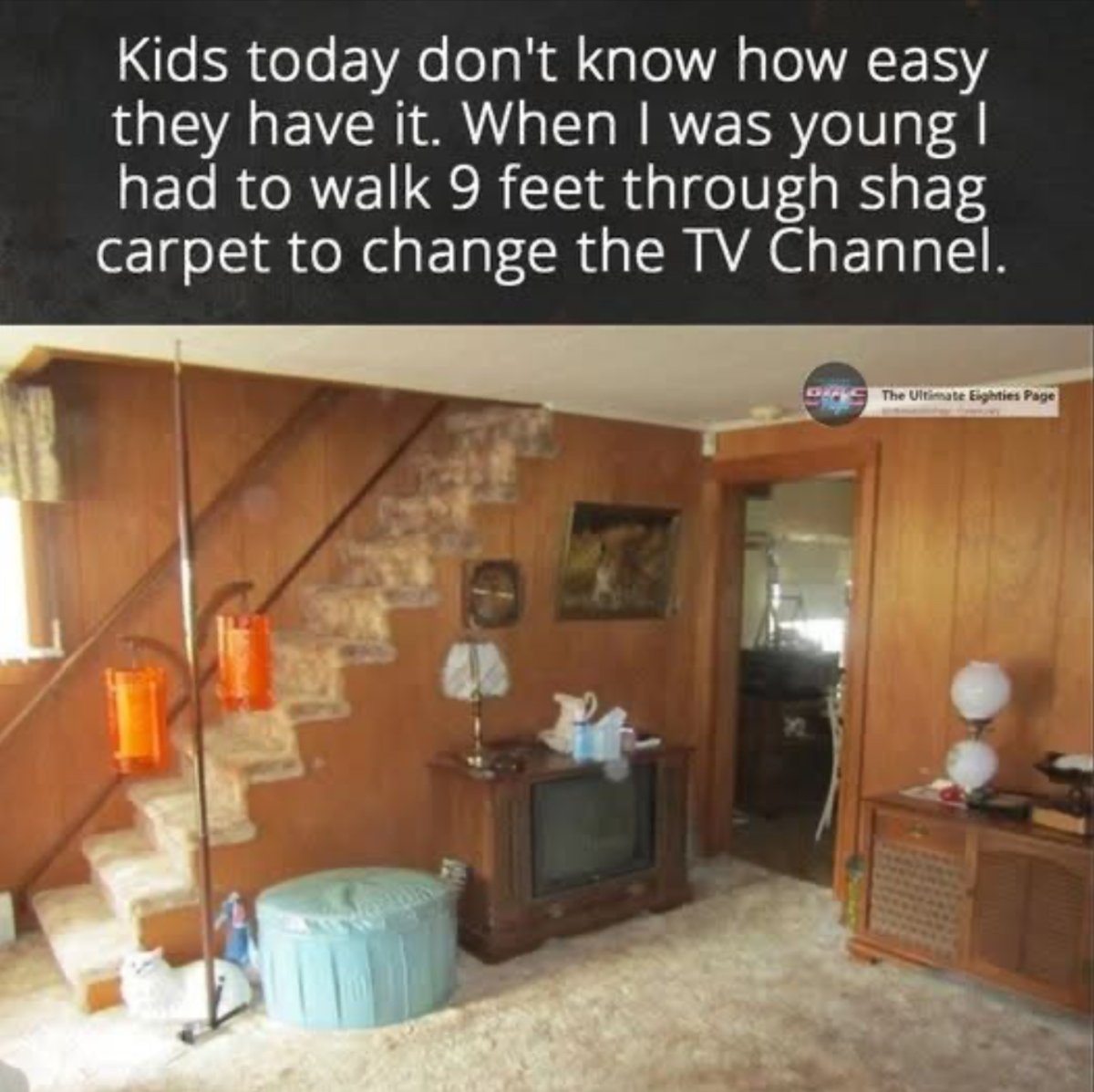 IMG_6661.jpeg