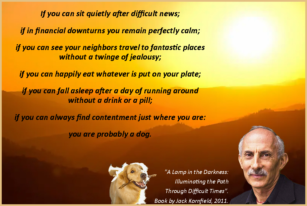 Jack Kornfield 2011 Quote.jpg
