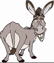 jackass.jpg