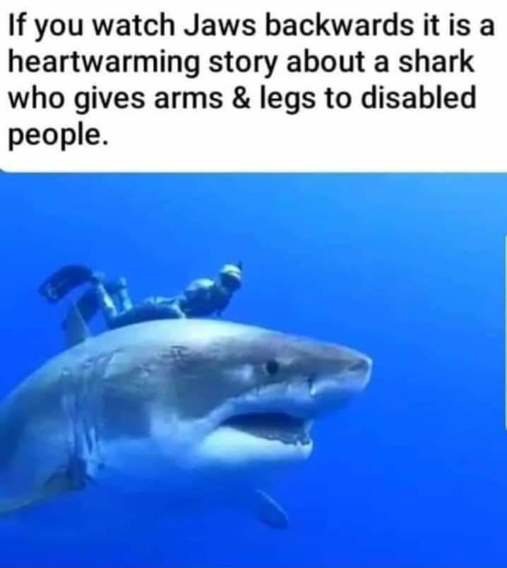 jaws.jpg