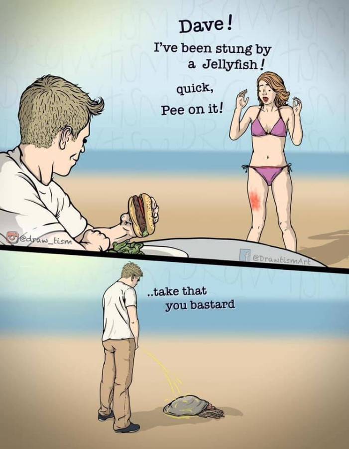 jellyfish.jpg