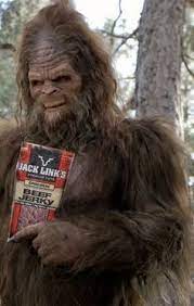 jerky.jpeg
