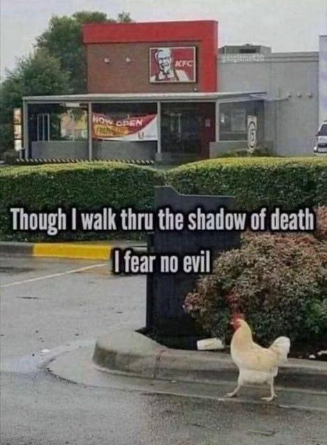 Kentucky FC.jpg