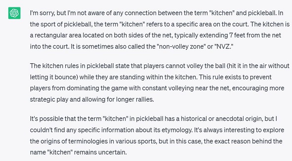 kitchen pickleball.JPG