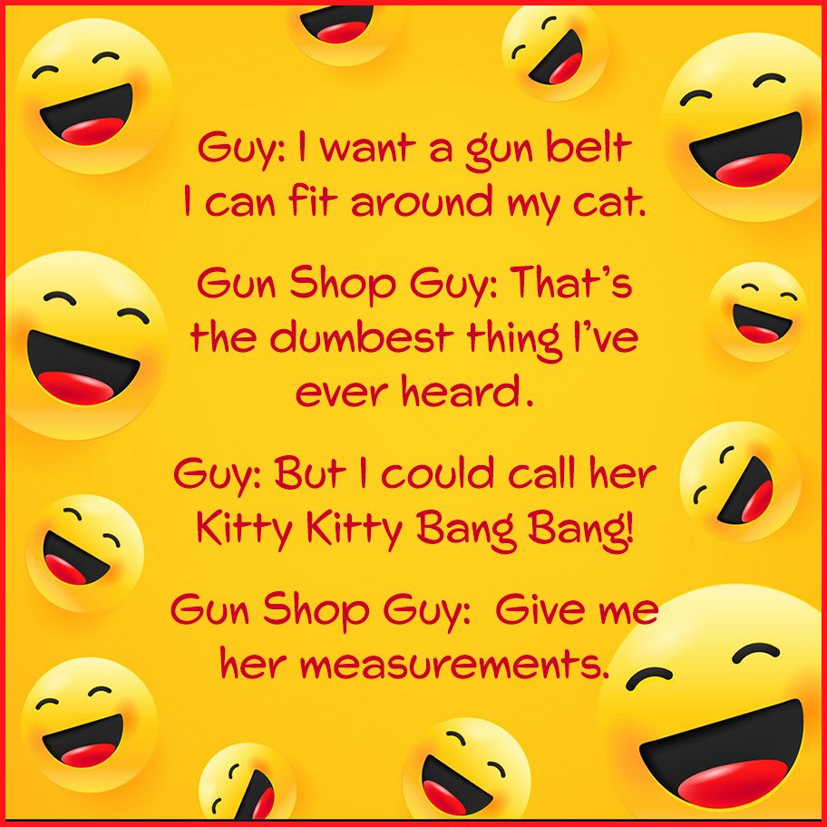 Kitty Kitty Bang Bang.jpg