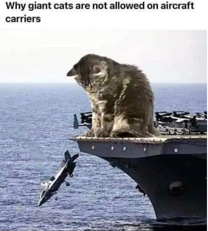 kitty.png