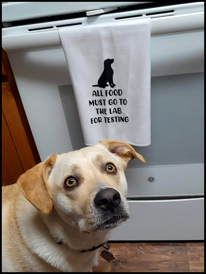 Lab Testing.jpg