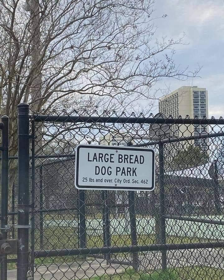 large bread dog park.jpg