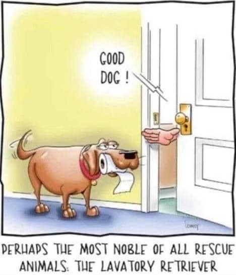 lavatory retriever.jpg