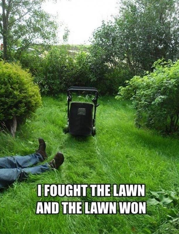 lawn.jpg