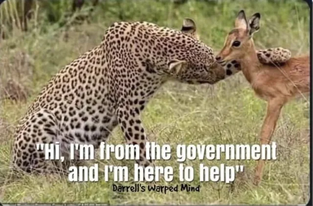 leopard 2.png