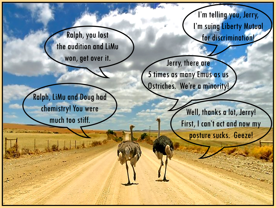 Liberty Mutual Audition.jpg