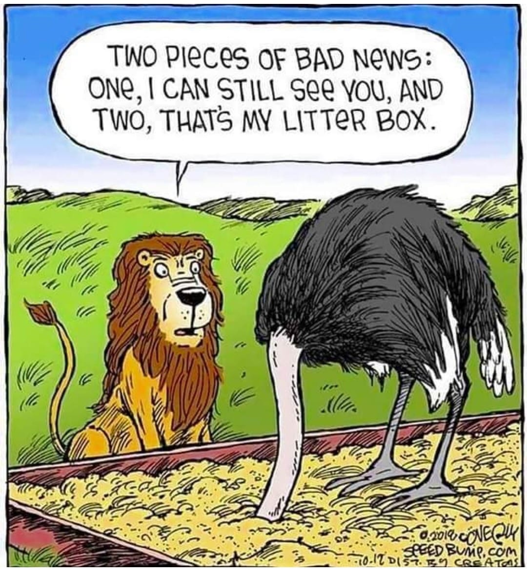 litter box.jpg