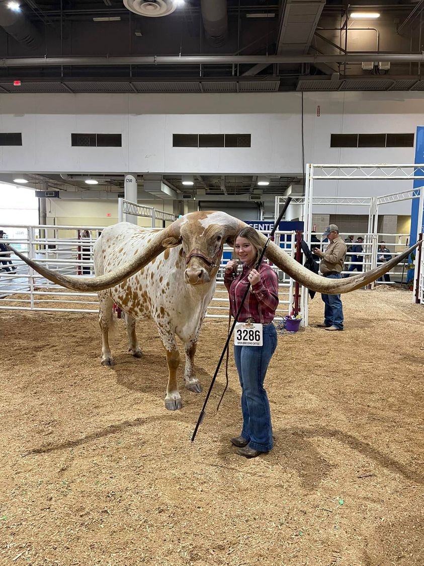 Longhorn.jpg