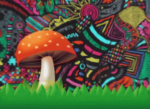 magic-mushroom.gif