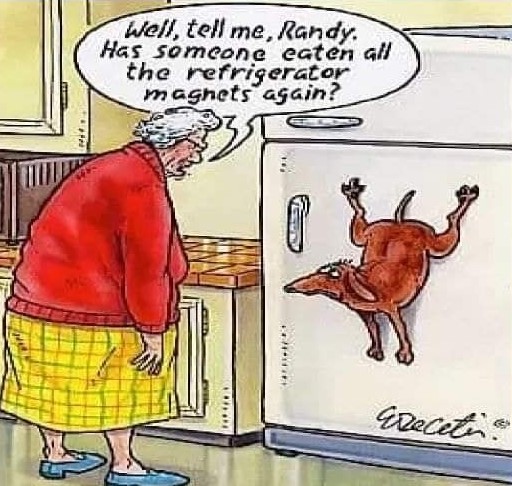magnets.jpg