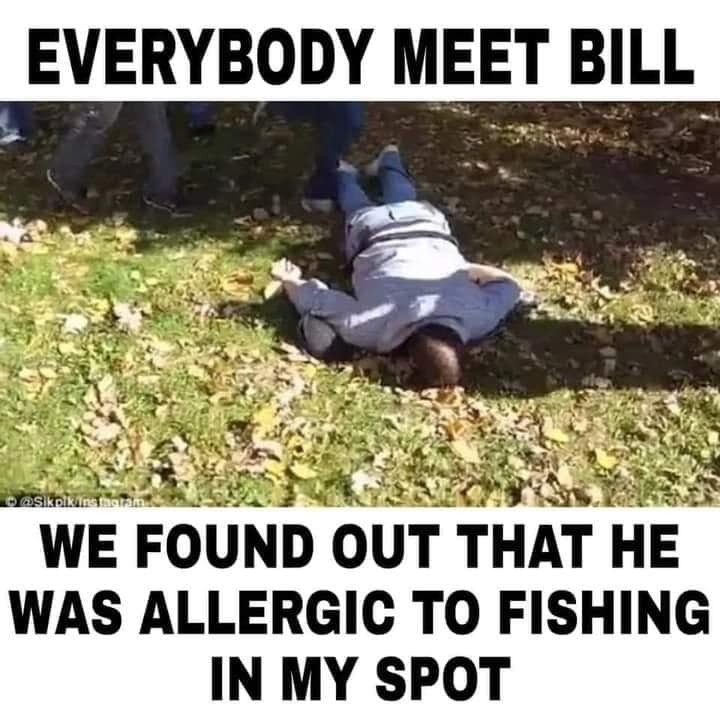meet Bill.jpg