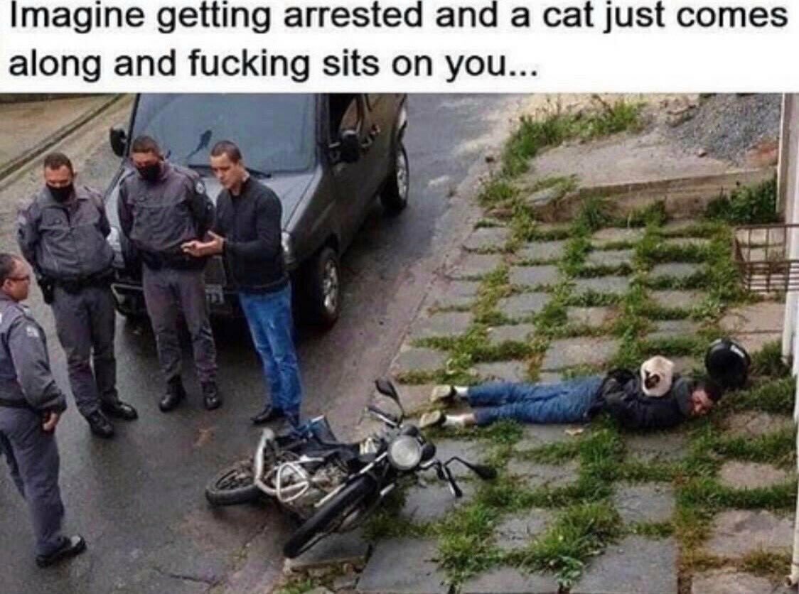 Meme (84).jpg