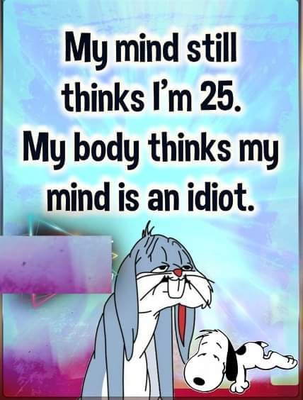 mind-body.jpg