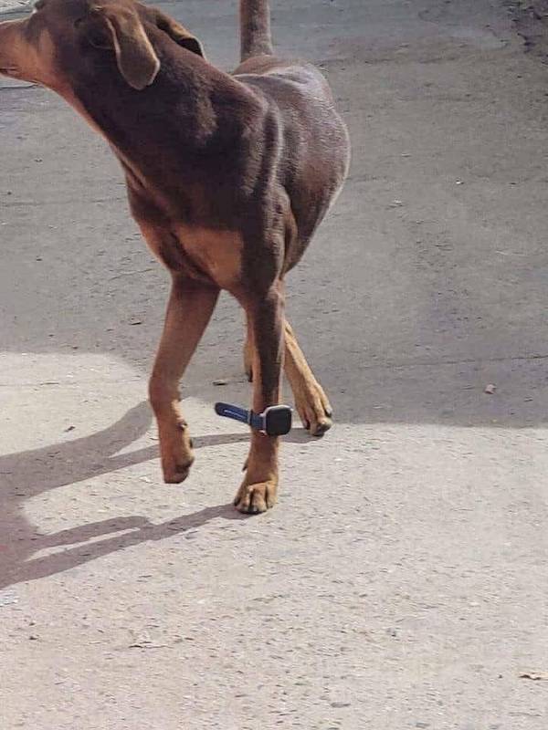 morning_picdump_3959_640_high_46.jpg