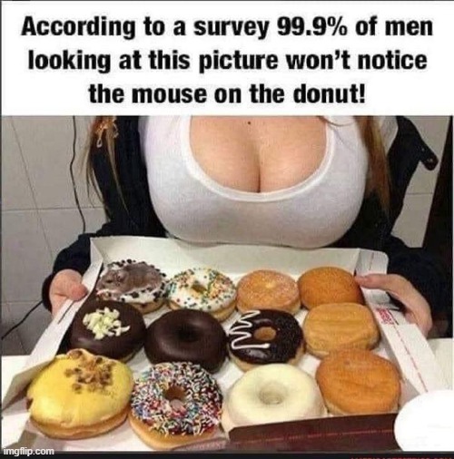 mouse.jpg