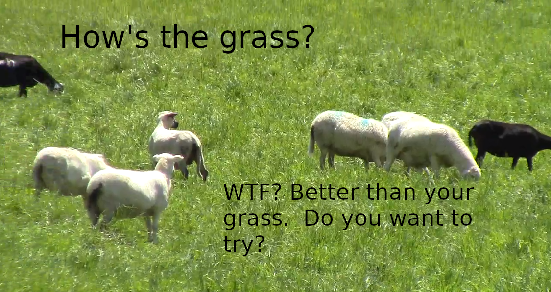 Nature.png