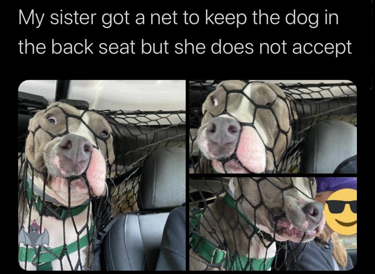net.jpeg