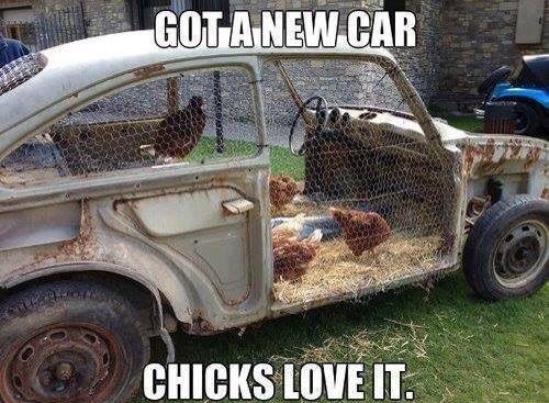 new car.jpg