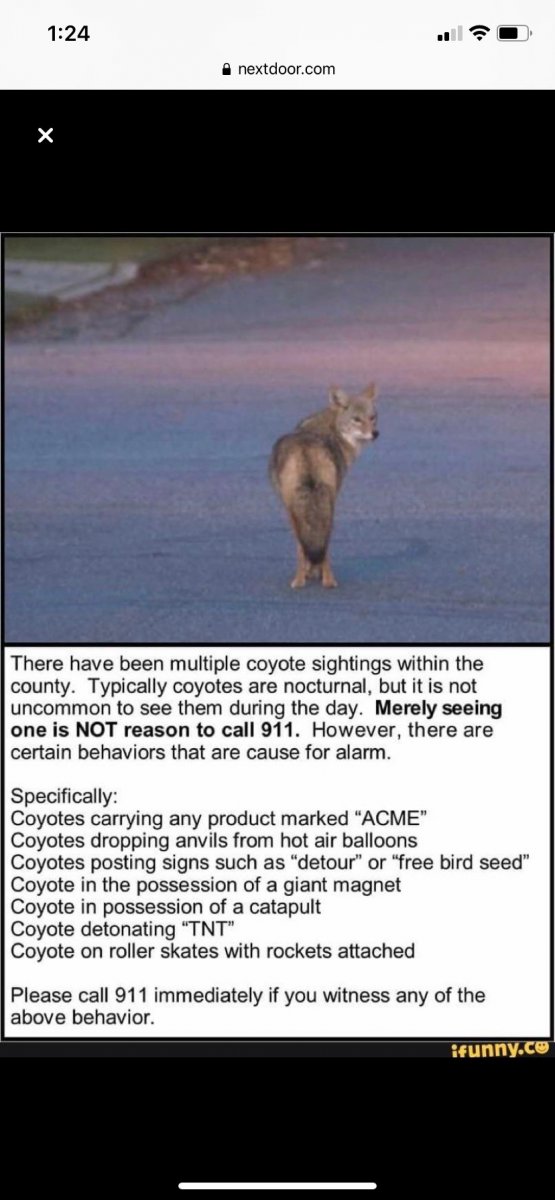 News Feed — Nextdoor.JPEG