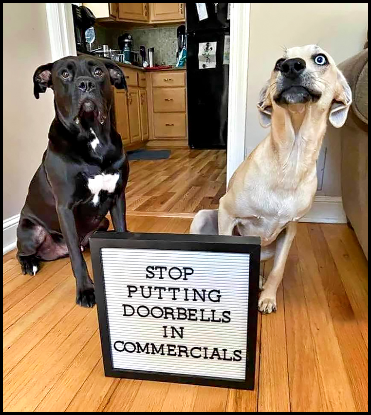 No Doorbells.jpg