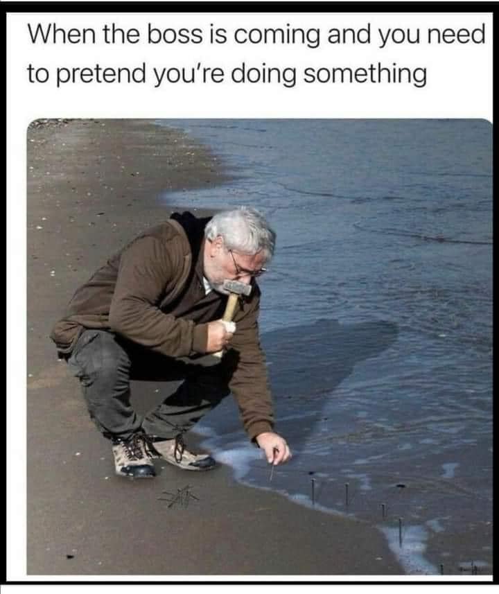 Now I know where the expression you should go pound sand comes from.jpg