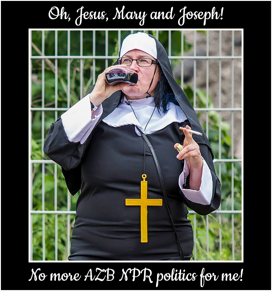 NPR Politics.jpg