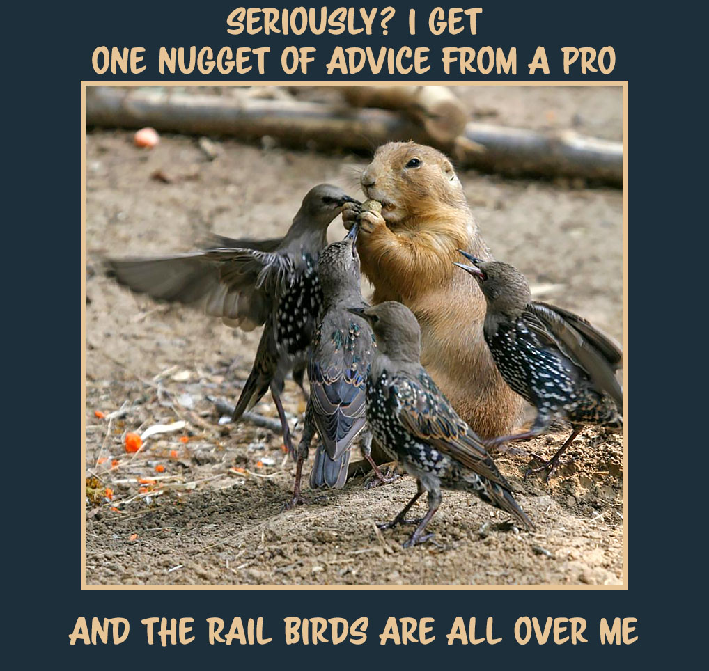 Nugget of Advice.jpg