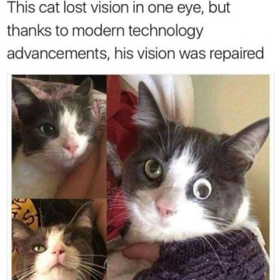 one eye.jpg