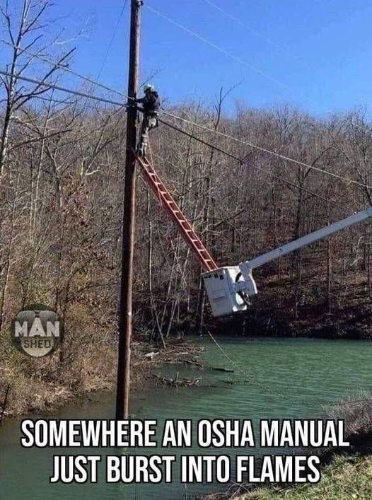 Osha.jpg