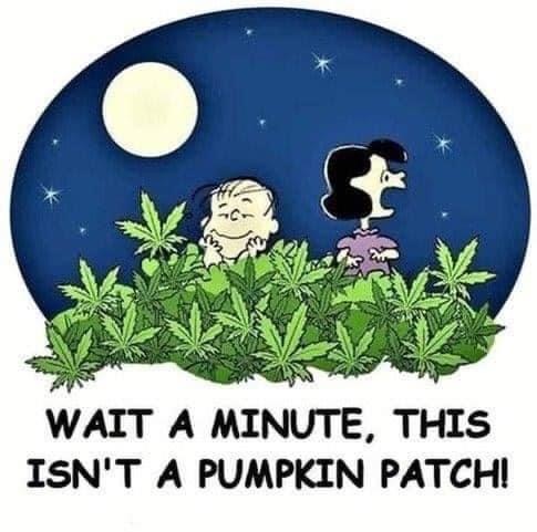 Peanuts.JPG