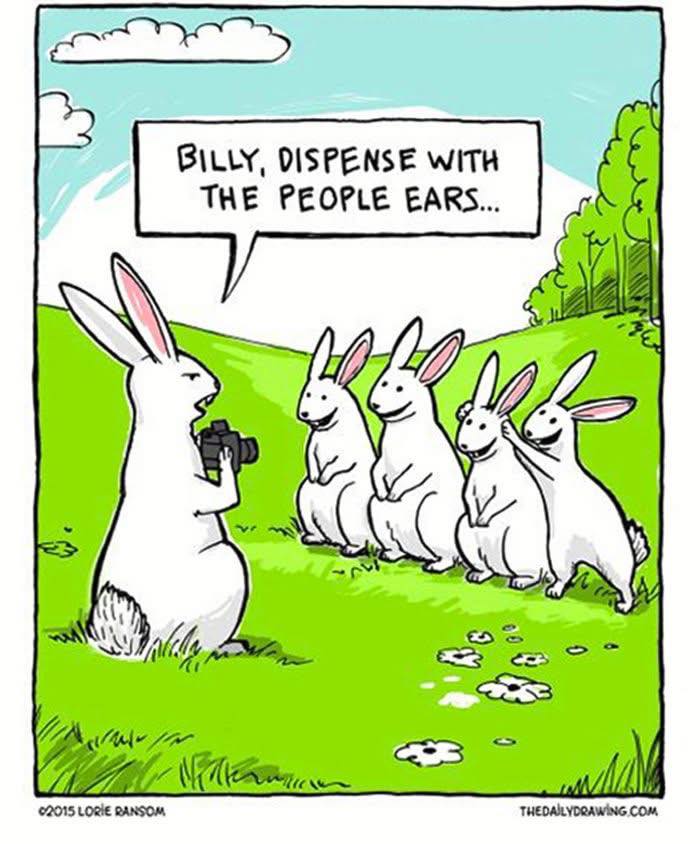 people ears.jpg