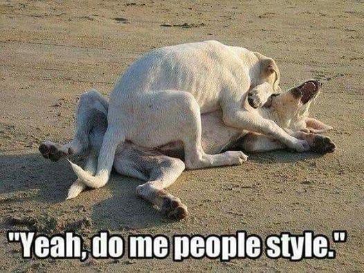 people style.jpg